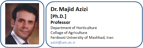 Editorial Board Member